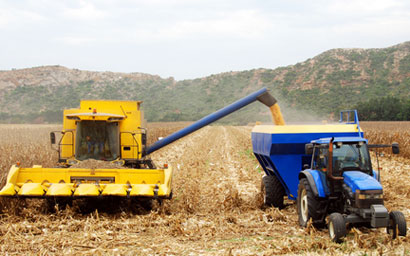 Combine-harvesting-maize